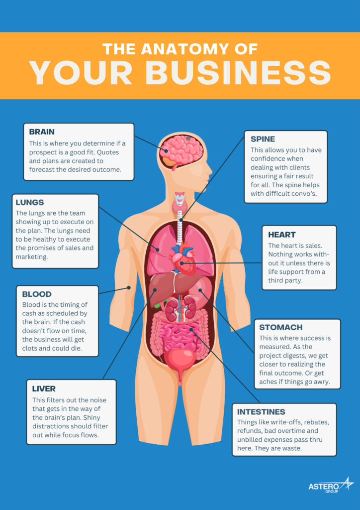 Anatomy of Your Business
