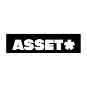 fractional CFO client that asset